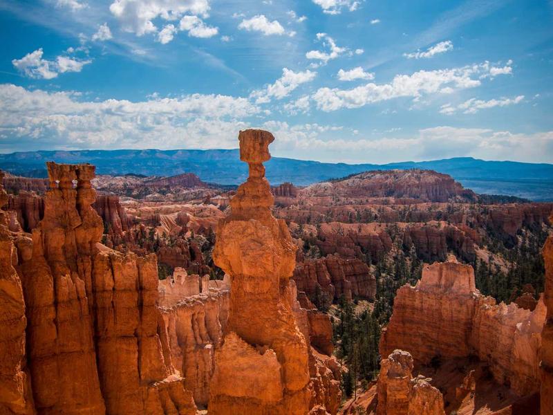 sudoku game online screenshot 6