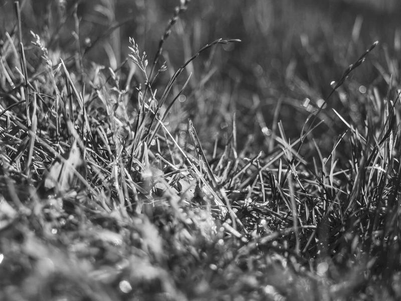 sudoku game online screenshot 4